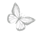 a_brightfly animated emote from .gg/revenants  ᶻ 𝘇 𐰁