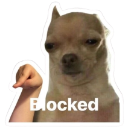 blocked custom emote | Heart.exe