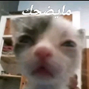emoji_24 Discord Emoji - 𓆩⟡『𝐍𝐎𝐗𝐈𝐒』⟡𓆪