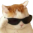 coolcat Discord sticker from Sammy's Indie-Electro Lounge