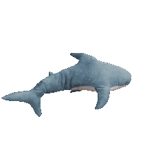 sharkspinspinspinspinn animated Discord emote | mrrp
