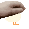 duckpats animated Discord emote | mrrp