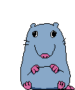 StupidRatte animated emote - It's - Hoppy Room 💐🌷