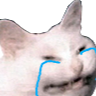 CattoCry Discord sticker | DM Request ¹⁸⁺  📪 ⌇ Adult Only  ⌇ sᴘʀᴇᴀᴅ Love ⌇  Non Toxic  ⌇Connection  ⌇ 𝓷𝓸𝓷  Dating
