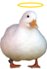HolyDuck Discord sticker - /𝙀𝙘𝙡𝙞𝙥𝙨𝙚