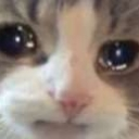 emoji_45 Discord Emoji | Aeri's Sanctuary