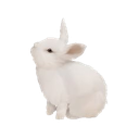 rabbitwatching Discord sticker from ✨КиберЛапки🎮
