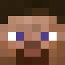 steveface custom emote | Voice Chat Games | Minecraft Livestreams & Events