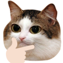 hmmm custom emote | Mirror Universe