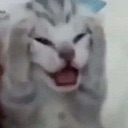 V_HALP custom emote - Vulcan