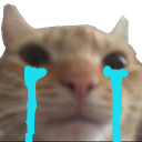 Cat face with large, crudely drawn blue tears streaming down its cheeks.
