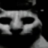 bnx9__a7acat Discord Emoji - 𝕊ℙ𝔸ℂ𝔼
