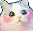 emoji_1764265761938 Discord Emoji - Nashe ™ | Social . PFPs . Giveaways . Chill
