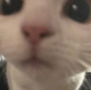 mommy_catstare custom emote from 10 Sets Of Failure🏋🏽