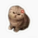 emoji_22 Discord sticker from ✧･ﾟ: ✧ 𝑺𝒕𝒂𝒓𝑬𝒏𝒕𝒆𝒓𝒏𝒂𝒍 ✧ :･ﾟ✧