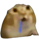 A blurry hamster with a vacant expression and a blue line of drool hanging from its mouth.