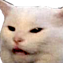 pogcat Discord sticker from AeroSphere