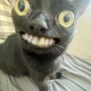 SmilingCat Discord sticker - The 1woners