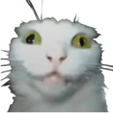 kitty Discord sticker from Pinay | Voice Chat • Social • Emojis & Stickers • Icons