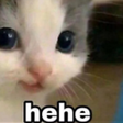 hehe custom emote | gay