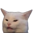 confusedCat custom emote | 🌴 ✨   U T O P I A   ✨ 🌴
