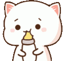 A small white cat holding a baby bottle and sucking on the nipple with a sad, needy expression.