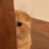 emoji_54 animated Discord emote from Dixo I مجتمع