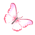 pink_butterfly animated Discord emote from 𐔌  ℘etalb𖹭und ꒱