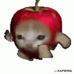 283067applecat animated emote from A2Cloud Best Free & Paid Hosting