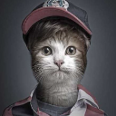 cat custom emote | vulk