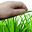 touchgrass animated emote | ATGs (All The Gamers)
