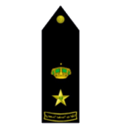 Military shoulder board insignia with a gold crown and star on a black background.