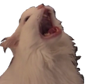 AAAA Discord Emoji - The Sports Garage🏆