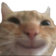 1105happycat Discord Emoji - 🎧ྀི♪⋆.✮ ᴀꜰᴛᴇʀ ʜᴏᴜʀꜱ °❀.ೃ࿔