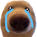 a_doggycries custom emote | truly ᯓ✩ friends ㆍ giveaways ㆍ tags ㆍ chill ㆍ vc ㆍ hangout ㆍ social ㆍ cute ㆍ emotes ㆍ active ㆍ chat