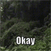 4545575457575454971 animated emote from Bro Love™ | Thanks for the Sex Bro™
