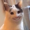 emoji_12 Discord Emoji | N,A