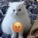 emoji_41 Discord Emoji from Ngôi nhà chút chít ᥫᩣ