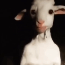 emoji_2 custom emote | 𝖕.𝖙.𝖒