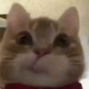 catsmirk Discord sticker - RIZZ HEAVEN | Chill • Hangout • VC • SFW • Events • Friends • Giveaways • Ask to DM • Non Dating