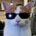 emote_cat_cool custom emote - ATGs (All The Gamers)