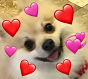 loveattack Discord sticker from The Sports Garage🏆