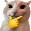 CATTHINK custom emote | DM Request 📪 ⌇ Ask To DM & Chatting ⌇ Non Dating ⌇ Social ⌇ Friendly ⌇ Nitro ⌇Non Toxic