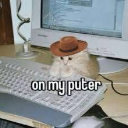 A fluffy cat wearing a brown cowboy hat sitting at a computer keyboard with the text on my puter.