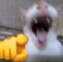 emoji_3 Discord Emoji - 𓆩⟡『𝐍𝐎𝐗𝐈𝐒』⟡𓆪