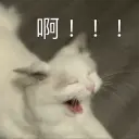 catwtf Discord sticker - Crow AI #Renaissance