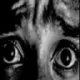 fear custom emote - KawaKhaos