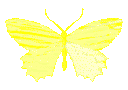 Yellow butterfly with wings spread wide in a simple pixel art style.