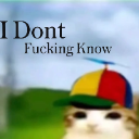 A cat wearing a colorful propeller hat with the text I Dont Fucking Know overlaid.