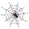 Spider sitting in the center of a symmetrical white web.
